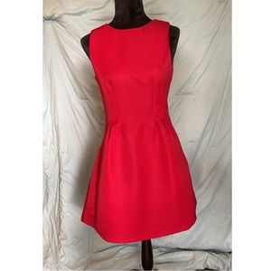 Ruby red colored classy align dress